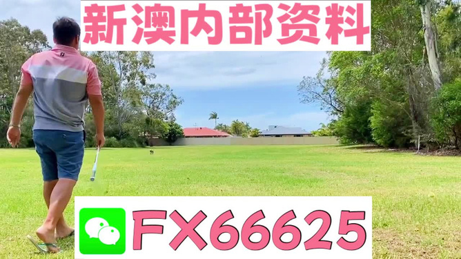 王中王一碼二肖，揭秘背后的秘密，揭秘王中王一碼二肖背后的秘密