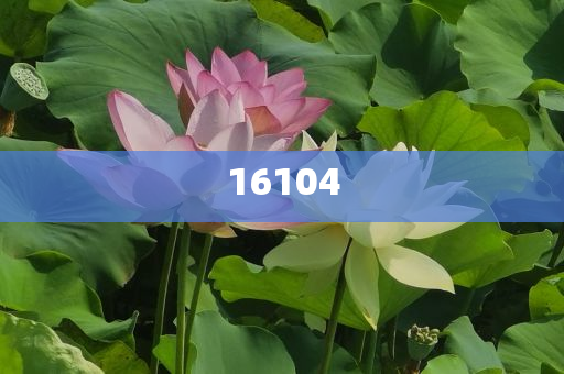 新奧600圖庫(kù)2025，探索與前瞻，新奧600圖庫(kù)2025，深度探索與未來(lái)展望