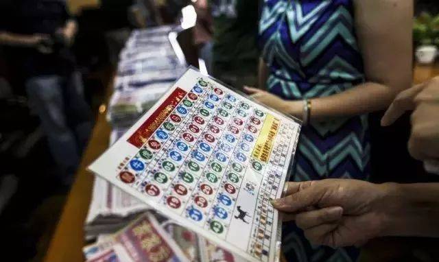 揭秘生肖運勢預測，探尋六肖期期中特期期期準背后的奧秘，揭秘生肖運勢預測背后的奧秘，探尋六肖期期中的精準預測
