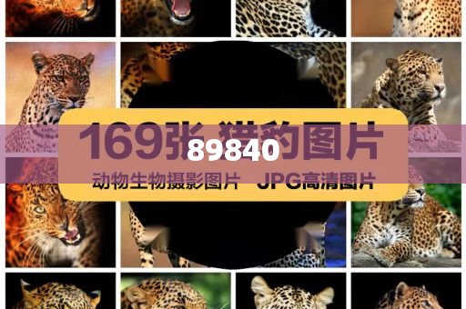 揭秘新奧集團(tuán)，展望未來(lái)的最新資料，探尋五不中的奧秘，新奧集團(tuán)未來(lái)展望，探尋五不中的奧秘與揭秘最新發(fā)展資料