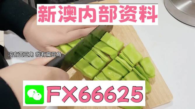 新澳精準(zhǔn)資料免費(fèi)提供，探索與解析，新澳精準(zhǔn)資料解析與探索，免費(fèi)提供的深度解讀