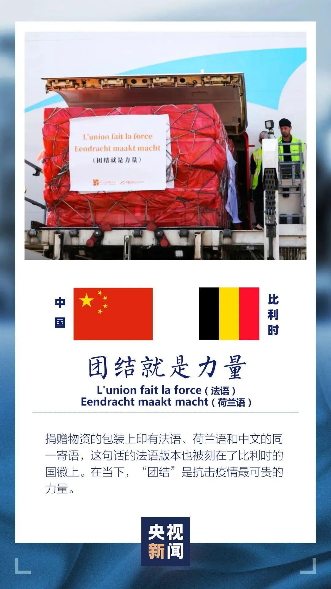 王中王資米斗一肖中持，深度解析與SEO優(yōu)化策略，王中王資米斗一肖中持深度解析與SEO優(yōu)化策略探討