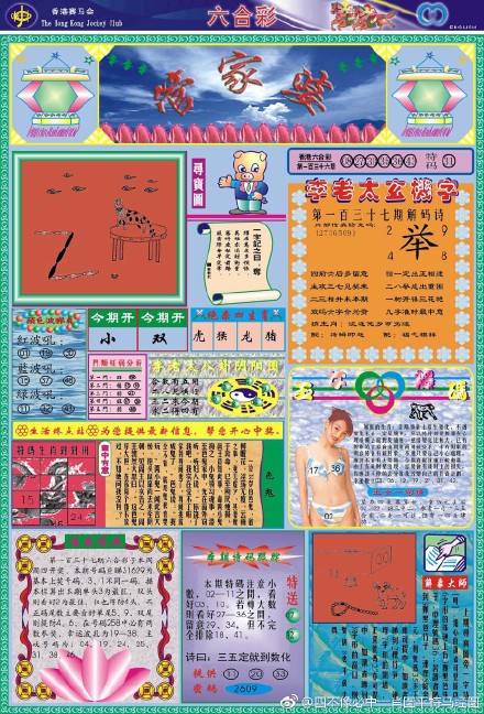 王中王四不像必出一肖圖——揭秘彩票背后的秘密，揭秘彩票背后的秘密，王中王四不像必出一肖圖的真相探索