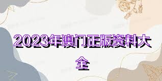 2025新奧正版資料免費獲取指南，2025新奧正版資料免費獲取攻略