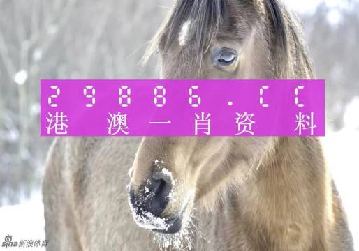 澳門一肖一碼100%精準(zhǔn)的背景故事，澳門精準(zhǔn)一肖一碼傳奇背景故事