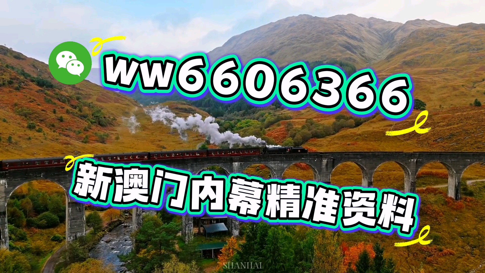 澳門一肖一碼期期準資料，揭秘與探索，澳門一肖一碼期期準資料揭秘，精準探索的背后秘密