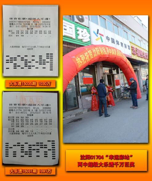 王中王平特一肖二選一，深度解析與SEO優(yōu)化策略，王中王平特一肖二選一深度解析與SEO策略?xún)?yōu)化指南