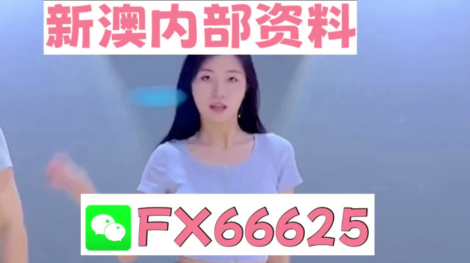 新澳門(mén)精準(zhǔn)資料大全——管家婆料解析與探索，澳門(mén)精準(zhǔn)資料大全，管家婆料解析與深度探索