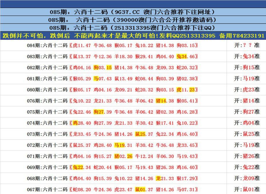 澳門六合正版資料，深度解析與探索，澳門六合正版資料深度解析與探索之旅