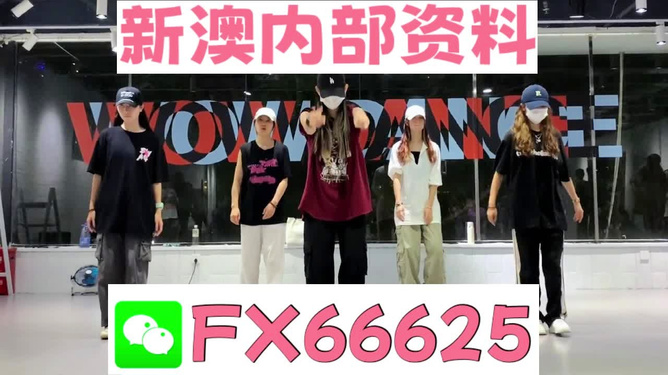 新奧天天免費(fèi)資料大全——探索與優(yōu)化的SEO之旅，新奧天天免費(fèi)資料大全，SEO探索與優(yōu)化之旅