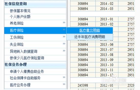 2025新澳門(mén)歷史記錄查詢完全指南，澳門(mén)歷史記錄查詢完全指南（2025版）