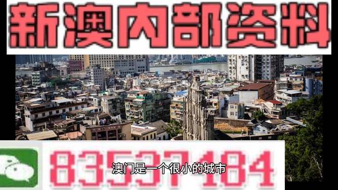 新澳門精準(zhǔn)四肖期準(zhǔn)，探索背后的秘密與策略，澳門精準(zhǔn)四肖期背后的秘密與策略探索