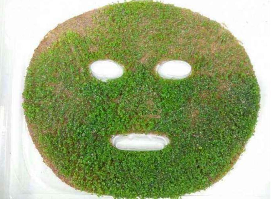 海藻面膜可以天天敷嗎？——深度解析海藻面膜的使用頻率與注意事項(xiàng)，海藻面膜的使用頻率與注意事項(xiàng)解析，能否天天敷海藻面膜？