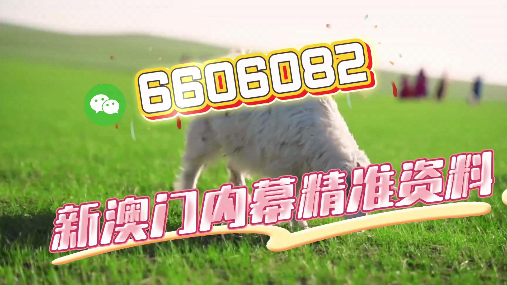 澳門一肖一碼準選今晚，揭秘彩票預測的秘密與策略，澳門彩票預測揭秘，今晚一肖一碼準選策略與秘密