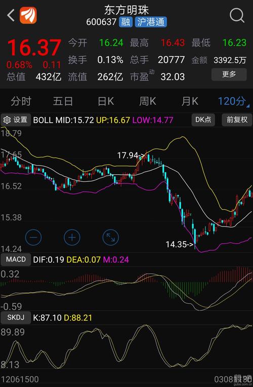 東方明珠股票股，投資前景深度解析，東方明珠股票投資前景深度解析，股票股展望與策略探討