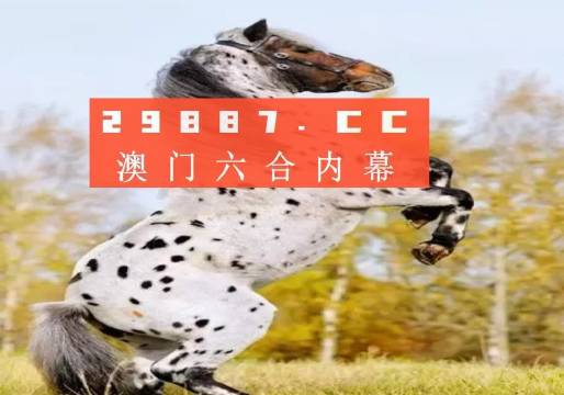 揭秘白小姐王中王四不像圖一，探尋肖中特的神秘面紗，揭秘白小姐王中王四不像圖與肖中特神秘面紗的背后真相