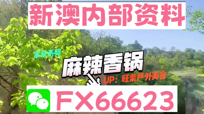 新澳資料最準(zhǔn)的網(wǎng)站，權(quán)威數(shù)據(jù)來(lái)源與精準(zhǔn)信息獲取指南，新澳資料最準(zhǔn)網(wǎng)站，權(quán)威數(shù)據(jù)來(lái)源與精準(zhǔn)信息獲取一站式指南