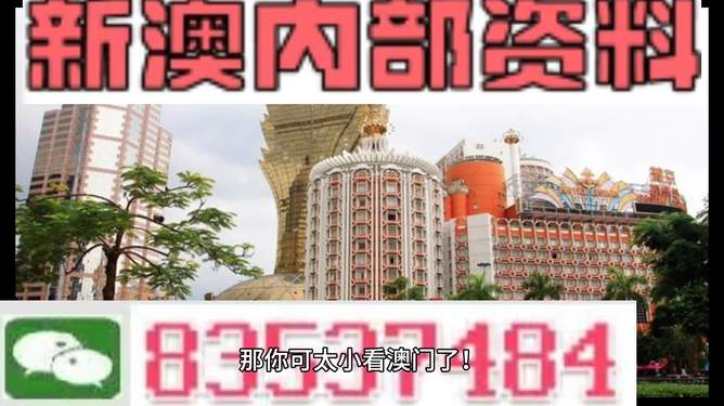 新澳新澳門正版資料，探索與解析，新澳新澳門正版資料深度解析與探索