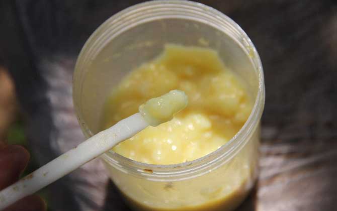 蜂王漿，功效、作用及食用方法詳解，蜂王漿，功效、作用及食用方法全面解析