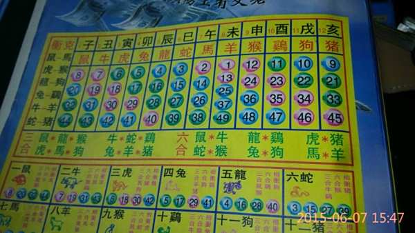 揭秘12生肖開(kāi)獎(jiǎng)記錄，歷史數(shù)據(jù)與趨勢(shì)分析，揭秘生肖開(kāi)獎(jiǎng)記錄，歷史數(shù)據(jù)與趨勢(shì)深度分析