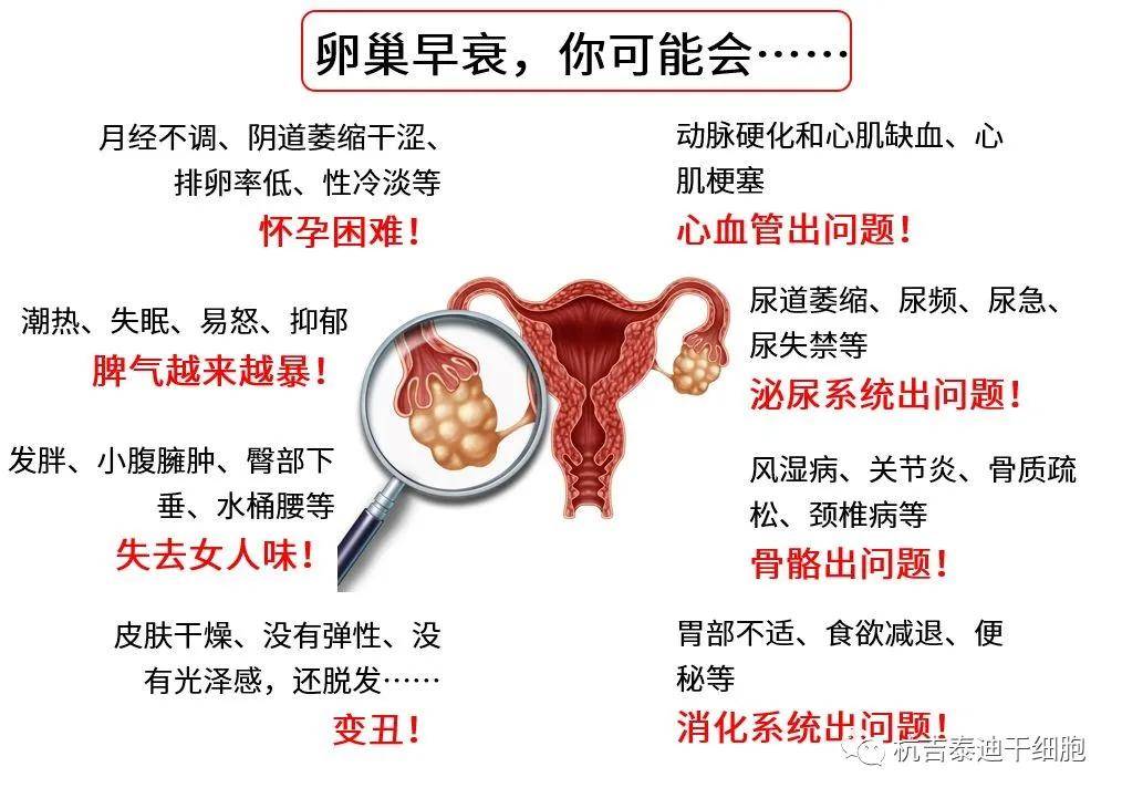 四十歲卵巢早衰能否調(diào)整回來？解讀卵巢早衰與應(yīng)對(duì)策略，四十歲卵巢早衰能否調(diào)整回來？解讀卵巢早衰現(xiàn)象及應(yīng)對(duì)策略