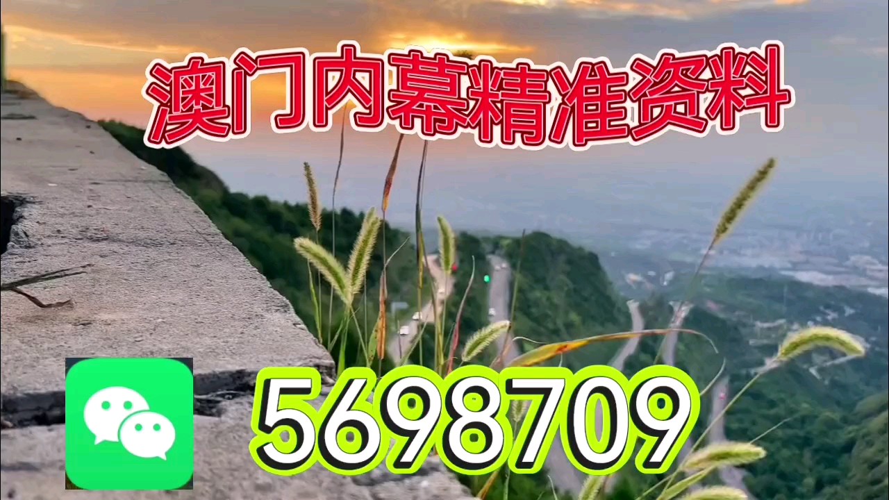 新澳天天開彩資料大全，探索彩票世界的奧秘，探索彩票世界奧秘，新澳天天開彩資料大全