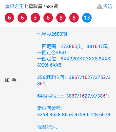 王中王一肖中特4487，揭秘背后的故事與奧秘，揭秘王中王一肖中特4487背后的故事與奧秘