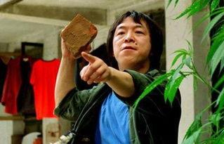 王中王丑中王解一肖，探尋背后的故事與奧秘，探尋王中王丑中王解一肖背后的故事與奧秘