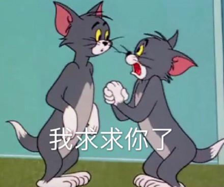湯姆貓股票股吧，投資熱點與前景展望，湯姆貓股票股吧，投資熱點與未來前景展望