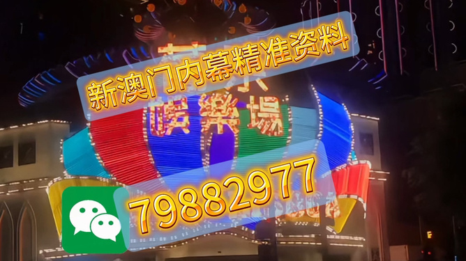 澳門今晚必開一肖是什么——揭秘生肖彩票的奧秘，揭秘澳門生肖彩票，今晚必開一肖的奧秘