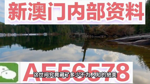 揭秘澳門精準(zhǔn)四不像，預(yù)測(cè)未來的趨勢(shì)與探索（2025展望），澳門精準(zhǔn)四不像揭秘，未來趨勢(shì)展望與探索（2025年預(yù)測(cè)）
