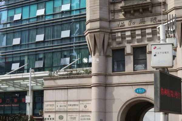 武漢協(xié)和醫(yī)院，卓越醫(yī)療的典范，武漢協(xié)和醫(yī)院，卓越醫(yī)療典范，健康守護(hù)先鋒