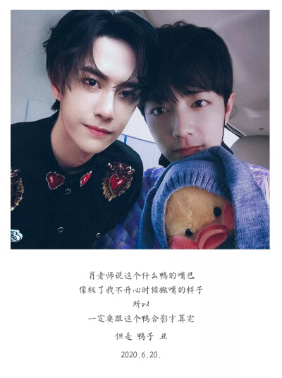 王中王一肖中特一肖精準預(yù)測——揭秘生肖運勢與未來展望，揭秘生肖運勢預(yù)測，王中王一肖精準預(yù)測未來展望