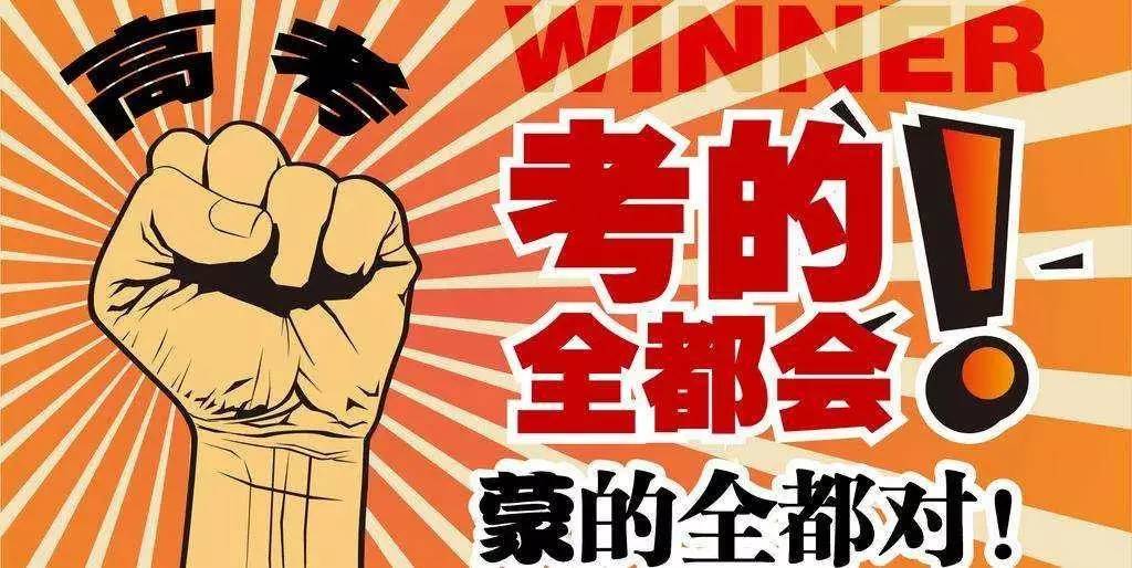 揭秘王中王與肖的不同之處，深度解析第123期，揭秘王中王與肖差異深度解析第123期，獨家對比與解讀