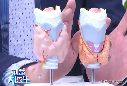 甲減的癥狀，深入了解甲狀腺功能減低的常見表現(xiàn)，深入了解甲狀腺功能減退的癥狀表現(xiàn)，甲減的征兆與常見表現(xiàn)