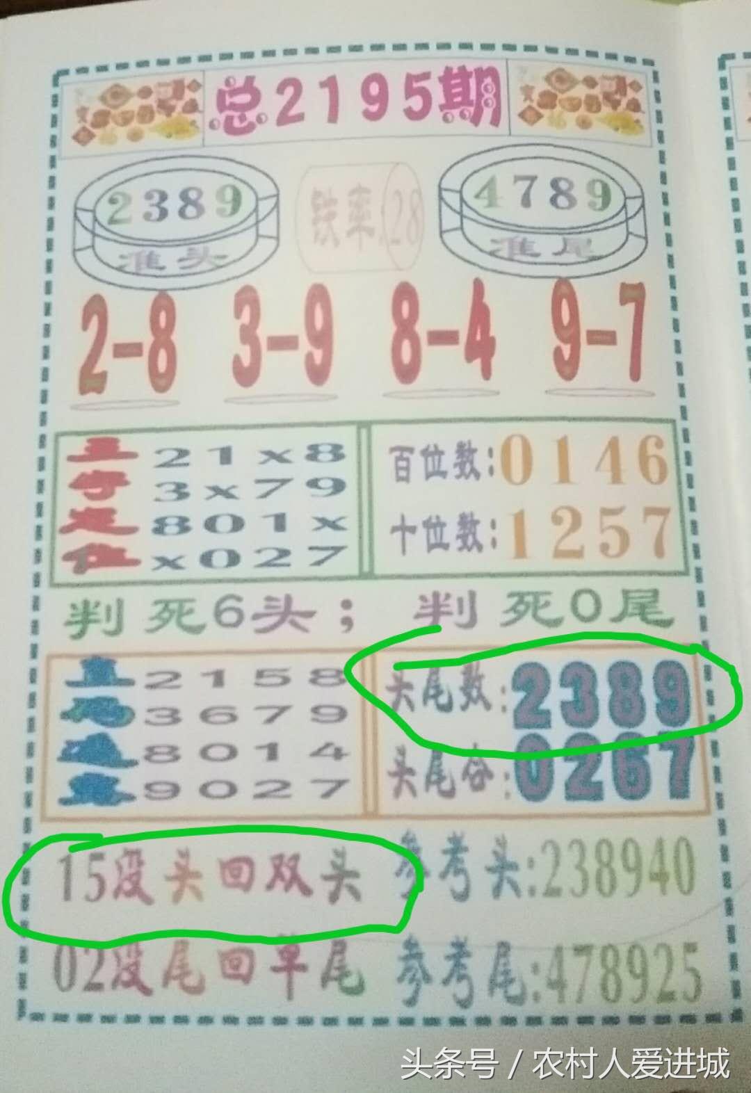 澳門精準資料期期精準，揭秘成功的秘訣與策略，澳門精準資料揭秘成功秘訣與策略之道