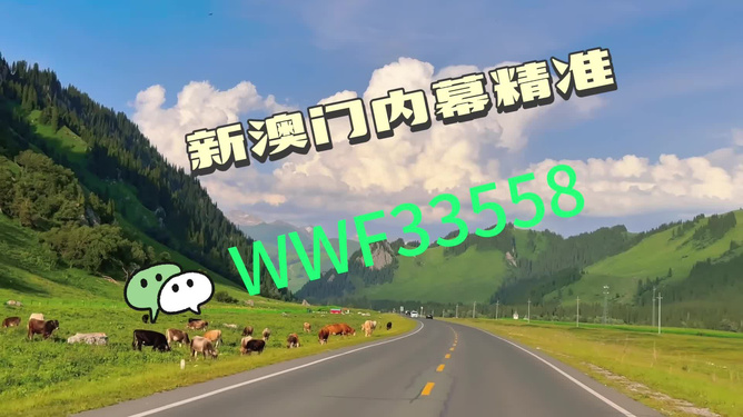 王中王一肖一馬中特一