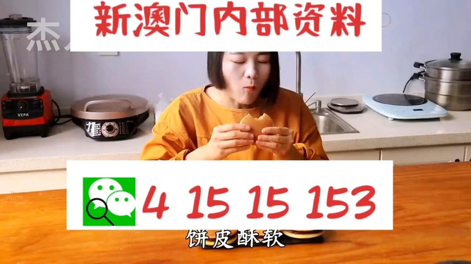 新澳六叔精準(zhǔn)資料大全，揭秘背后的秘密與實用指南，新澳六叔精準(zhǔn)資料揭秘，背后秘密與實用指南大全