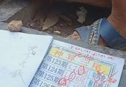 關(guān)于2025六開彩天天免費(fèi)資料大全的SEO文章，2025六開彩天天免費(fèi)資料大全，SEO優(yōu)化秘籍與實(shí)戰(zhàn)指南