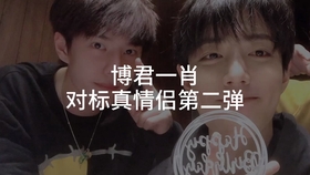 一肖拖一肖二中二有幾組——深度解析與探索，深度解析與探索，一肖拖一肖二中二有多少組組合？