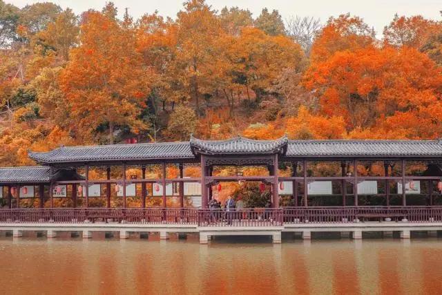 寧波旅游景點(diǎn)一日游哪里最好玩？精選一日游攻略，寧波最佳一日游景點(diǎn)攻略，必玩景點(diǎn)推薦