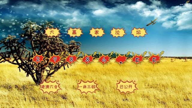 澳門4949開獎結(jié)果最快四不像解析，澳門4949開獎結(jié)果解析與四不像探討