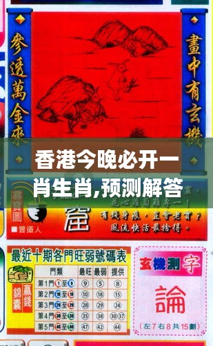 香港與彩王中王精準(zhǔn)一肖，揭秘彩票背后的秘密，揭秘彩票背后的秘密，香港與彩王中王精準(zhǔn)一肖探究