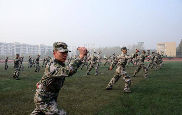 解析軍士長為何不升軍官，背后的原因與考量，解析軍士長晉升停滯背后的原因與考量，為何未能成為軍官？