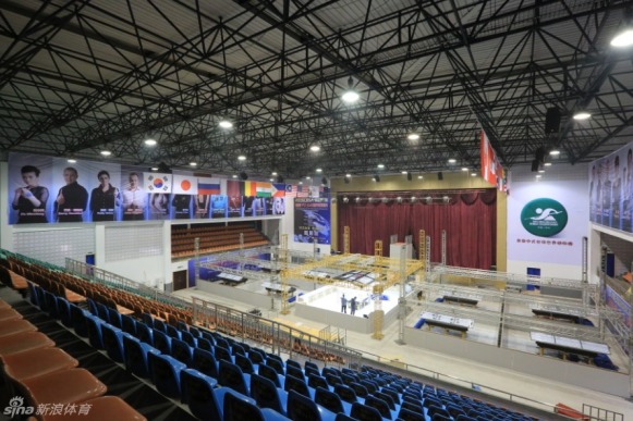 王中王一肖一馬中特平臺，探索與解析，王中王一肖一馬中特平臺深度探索與解析