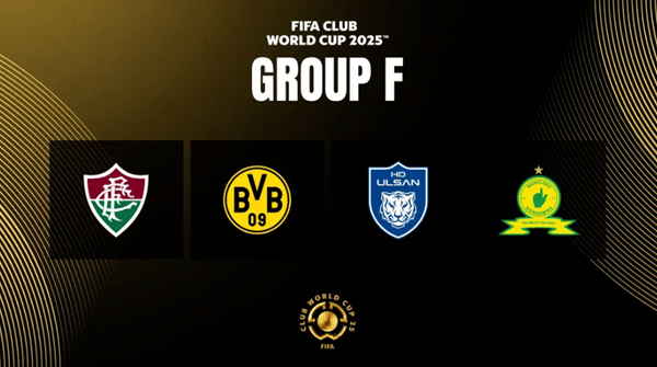 2025新澳正版資料精準解析與預(yù)測，2025新澳正版資料精準解析與趨勢預(yù)測