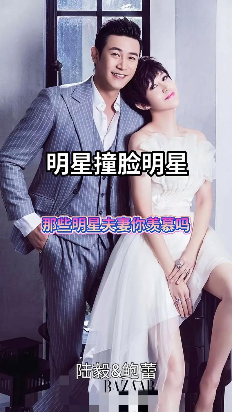 明星夫妻名單大全，揭秘娛樂圈的愛情佳話，娛樂圈明星夫妻名單揭秘，愛情佳話大全