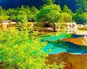 自己去九寨溝旅游攻略，探索神秘的自然美景，探索自然秘境，九寨溝旅游攻略，暢游神秘美景