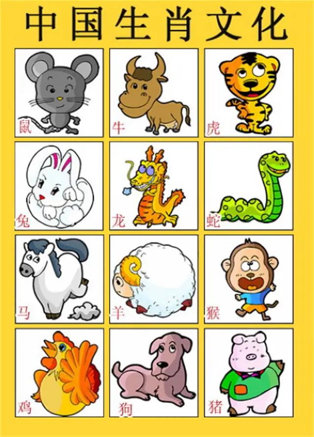 一肖有哪些生肖——生肖文化深度解析，生肖文化深度解析，揭秘十二生肖中的一肖奧秘