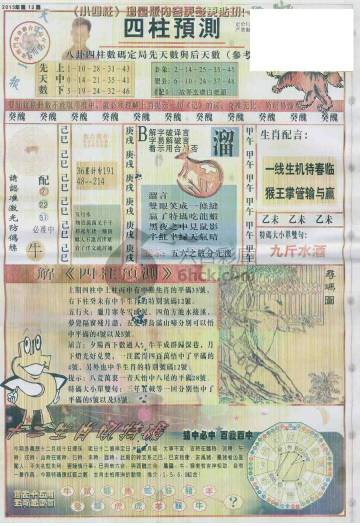 王中王動(dòng)物一肖圖，深度解析與SEO優(yōu)化，王中王動(dòng)物一肖圖深度解析與SEO優(yōu)化策略探討